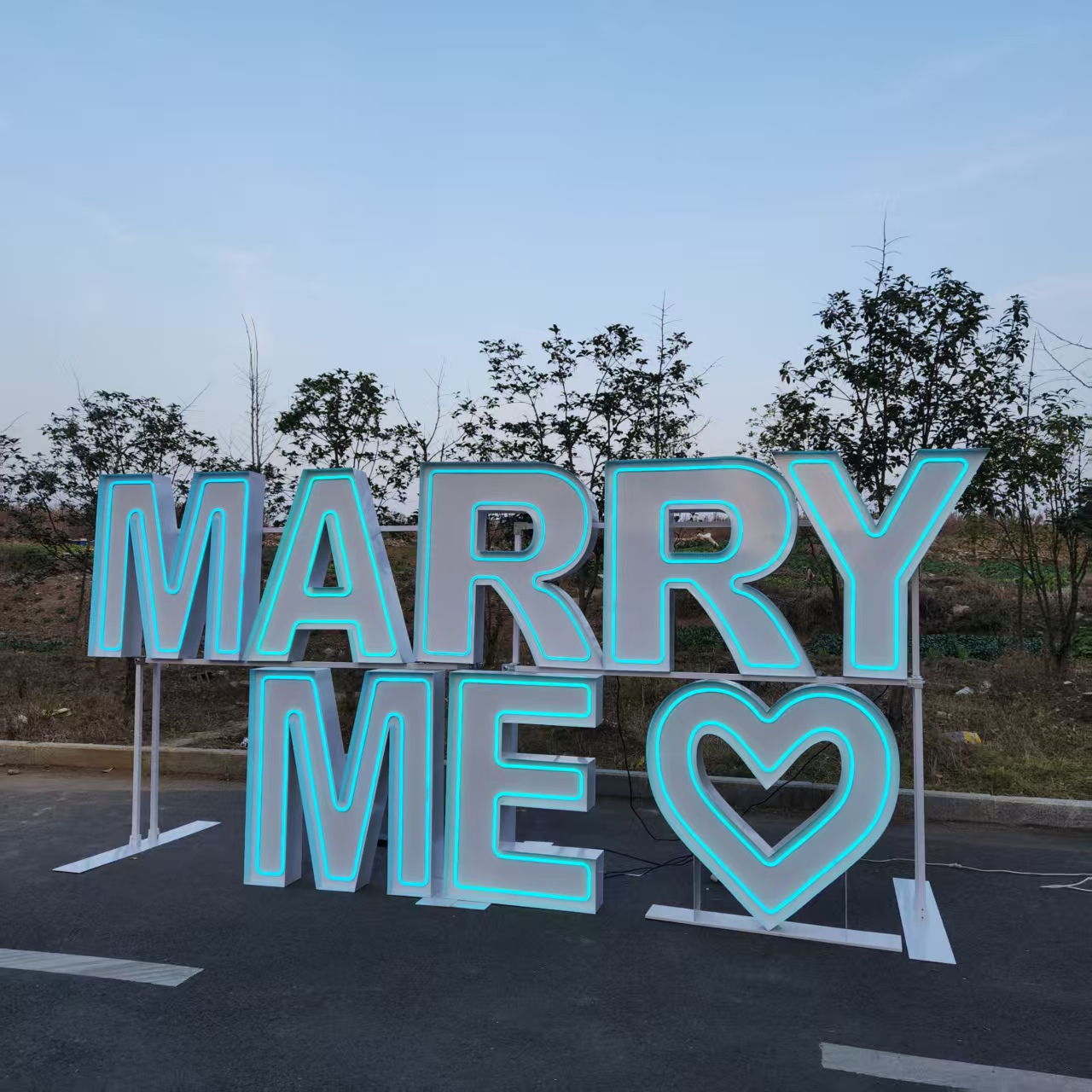 MARRY ME Metal RGB LED Neon Si - огляд і ціна Event Party Supply Rental