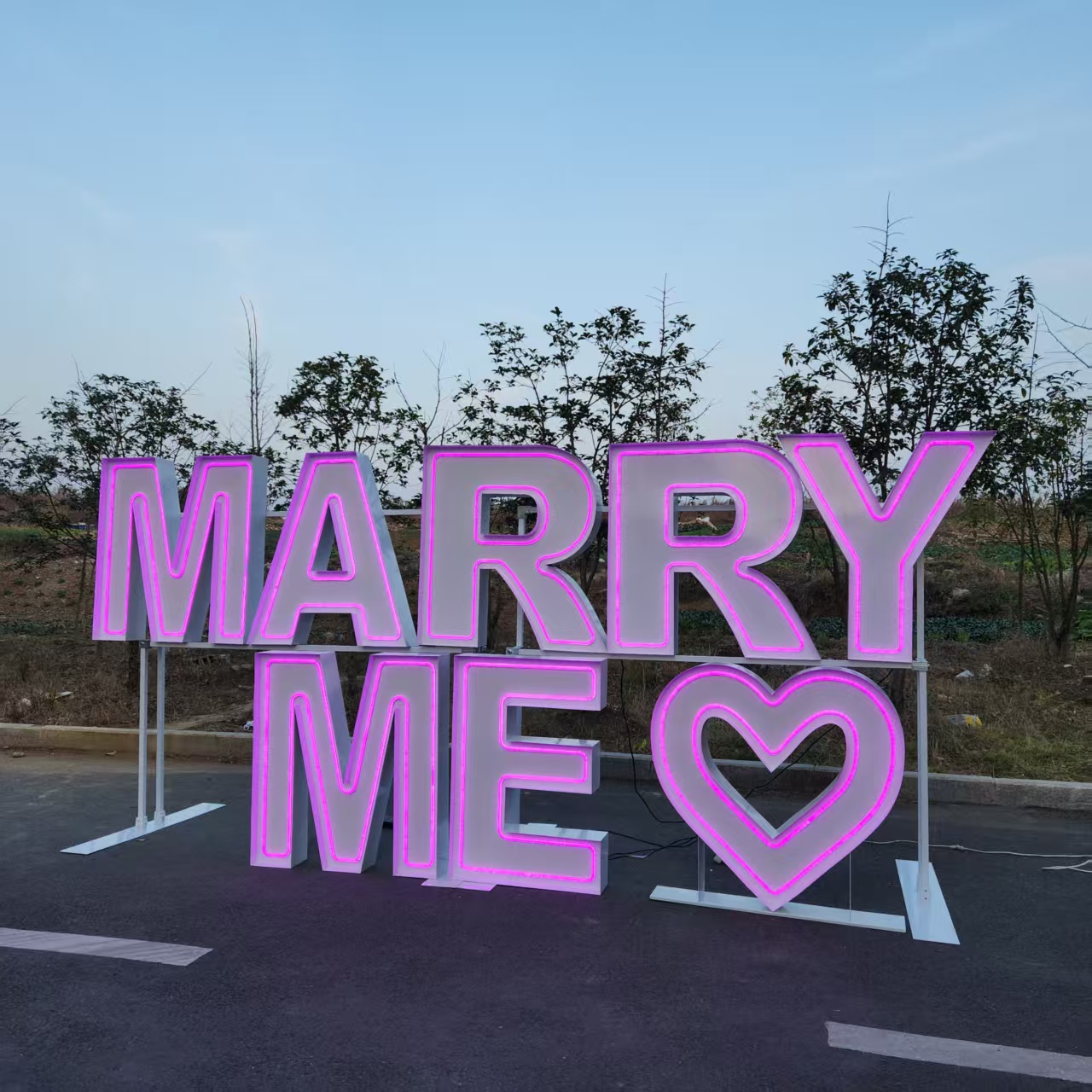MARRY ME Metal RGB LED Neon Si - огляд і ціна Event Party Supply Rental