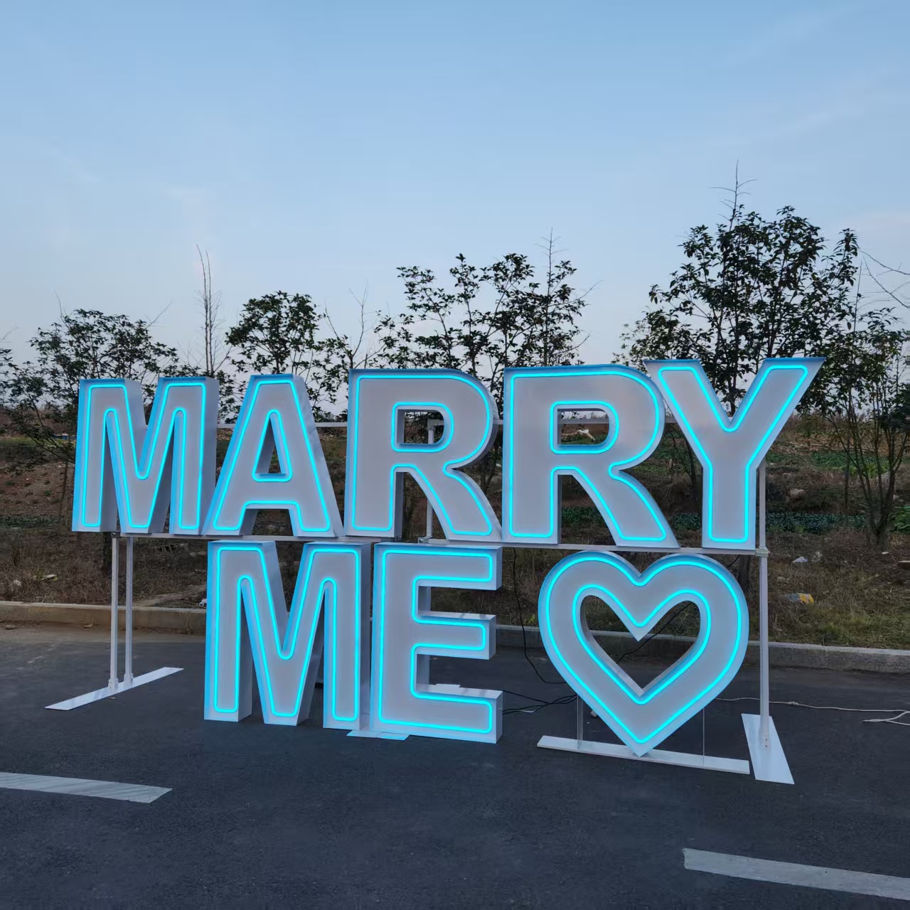 MARRY ME Metal RGB LED Neon Si - огляд і ціна Event Party Supply Rental